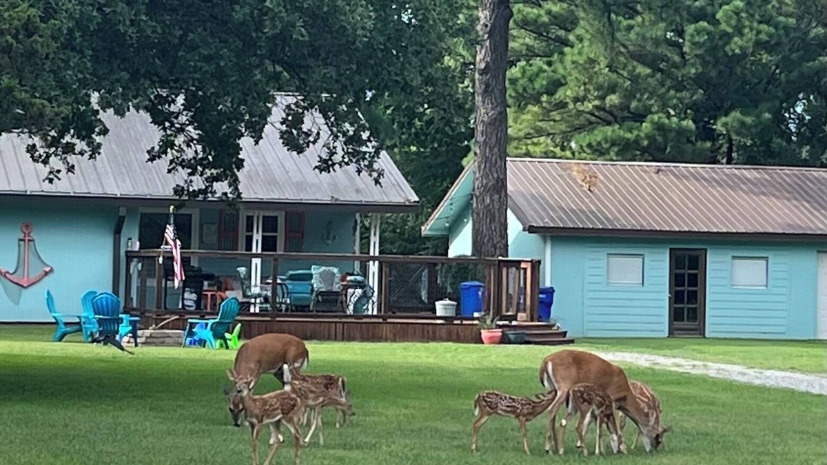 Mead House | fishing ~ plenty of parking ~ 1/2 mile to marina ~ 5 min to new WestBay casino