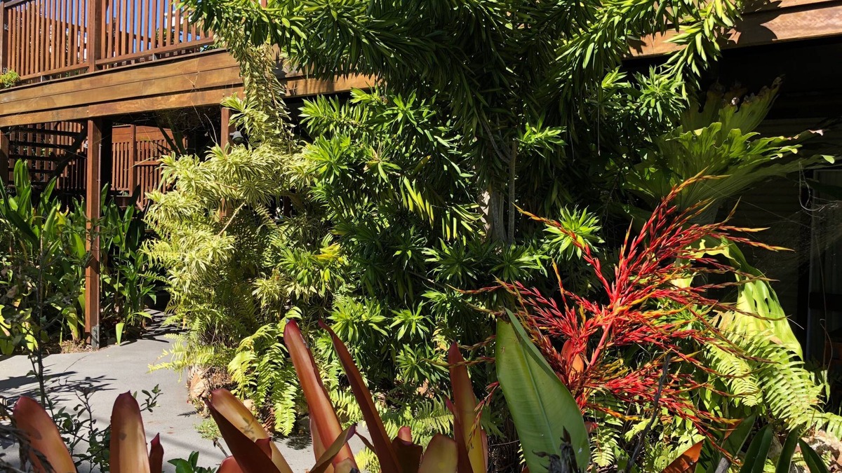 Urangan Apartment | Five 3 Five - The Beachside Barracks