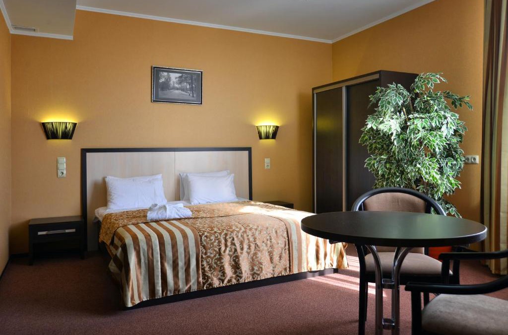 Omsk Hotel | Flagman