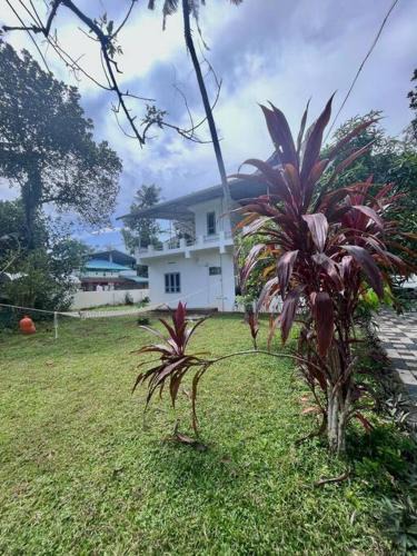 Varkala Villa | Flamingos villa in Varkala by bodhi garden