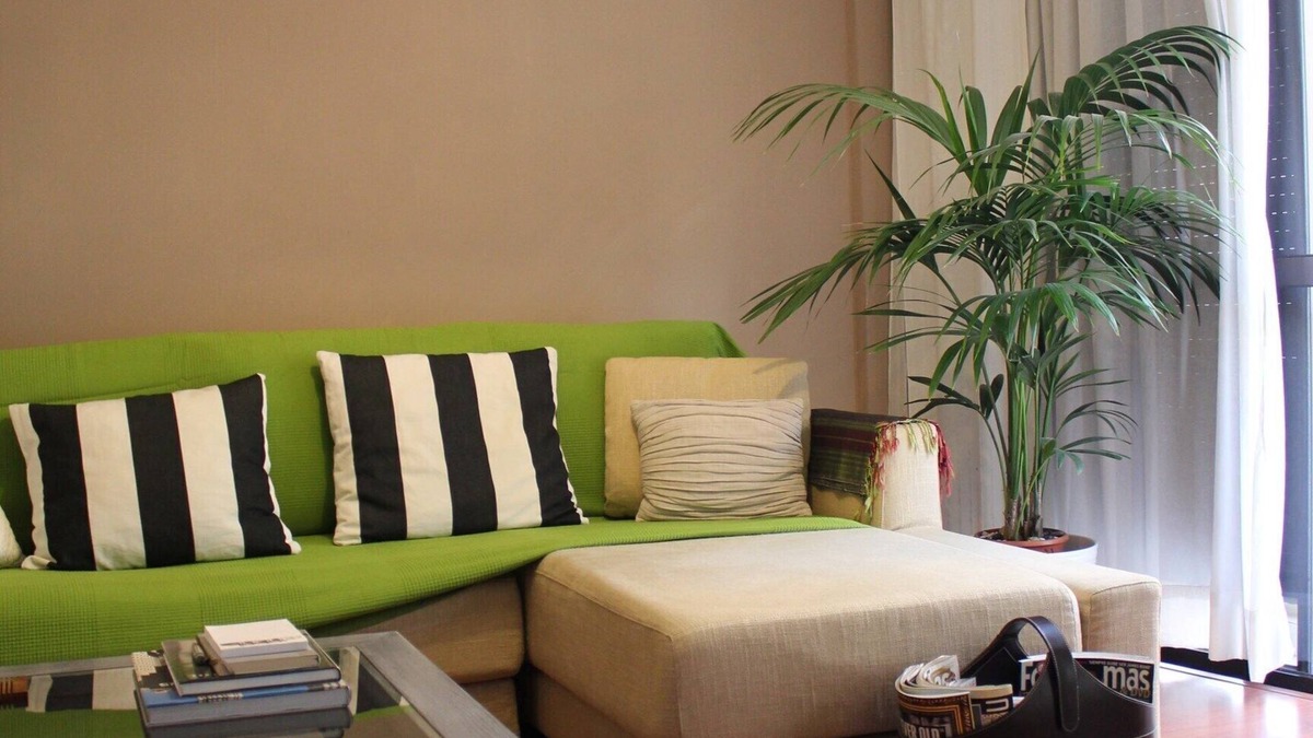 Santa Cruz de Tenerife Condo | FLAT CENTER A 5 MIN. PARK Garcia Sanabria. WIFI, PARKING, FREE CABLE TV