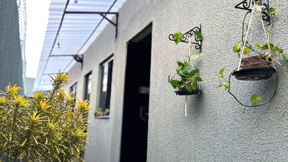 Plano Diretor Sul House | Flat Davisis - Parada do Jalapão