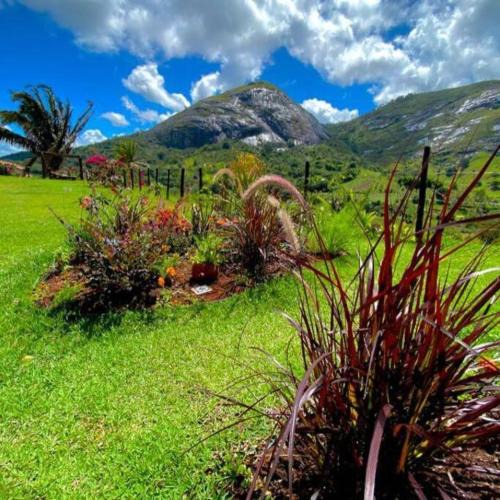 Bonito Apartment | Flat na natureza