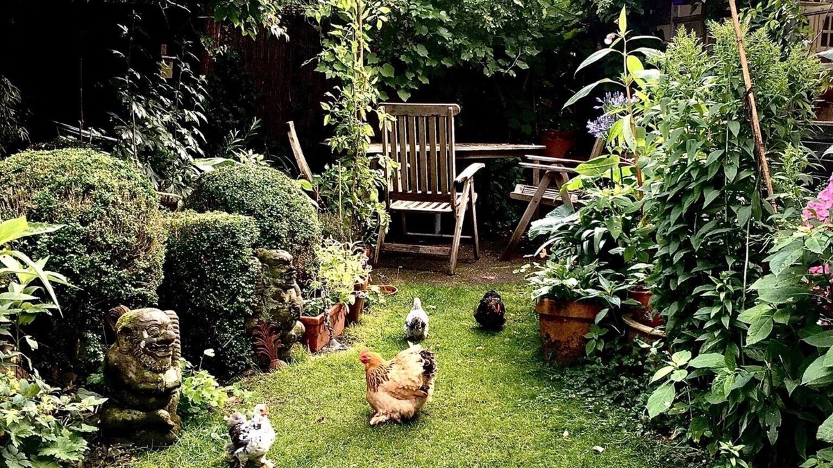Middenmeer House | Fleur d'Amsterdam, Safe, Clean, Cosy and Happy! 2 to 4 persons