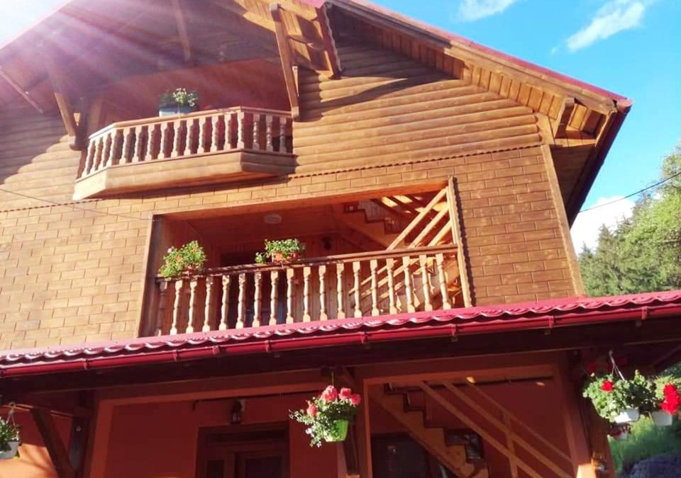 Albac House | Floare de colț