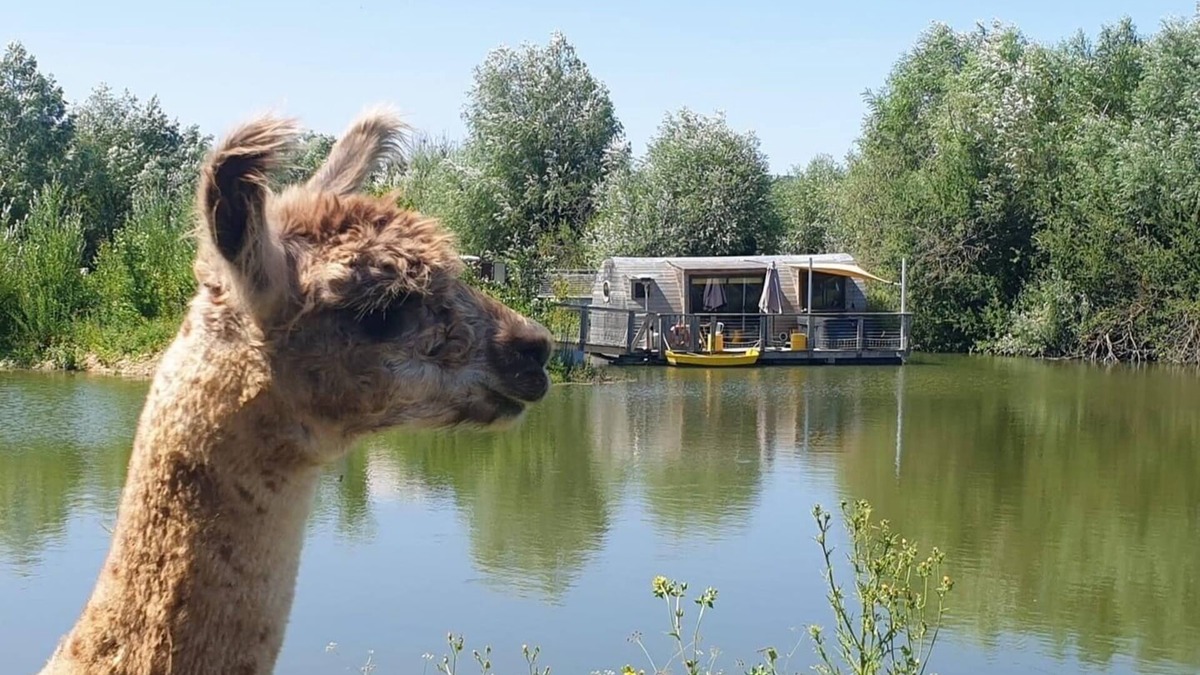 Chablis Cabin | FLOATING SHACK WITH PRIVATE SPA LES CLOS