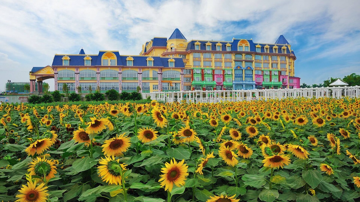 Nansha Hotel | Floloving Hotel