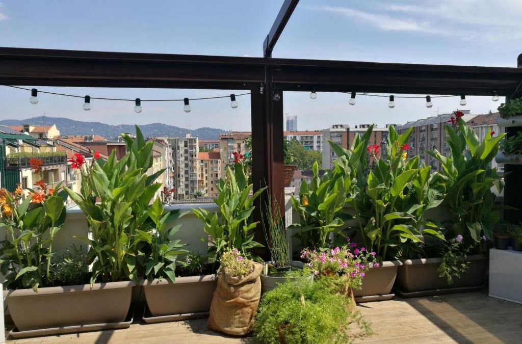 Mirafiori Apartment | Floorplan B - 208