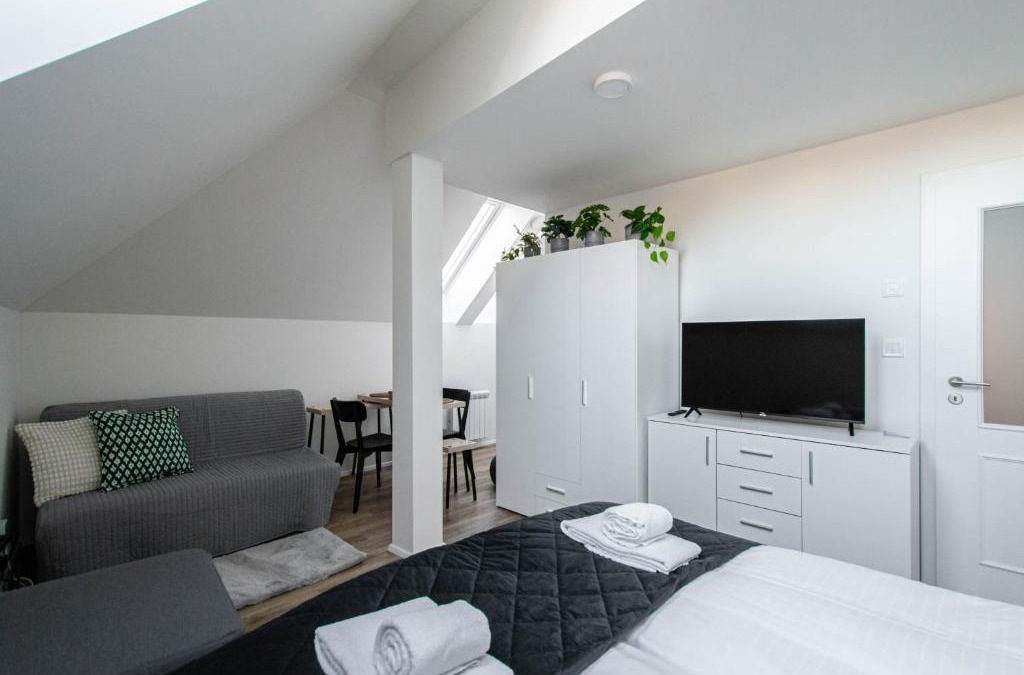 Petrska ctvrt Apartment | Florenc Charming Studio