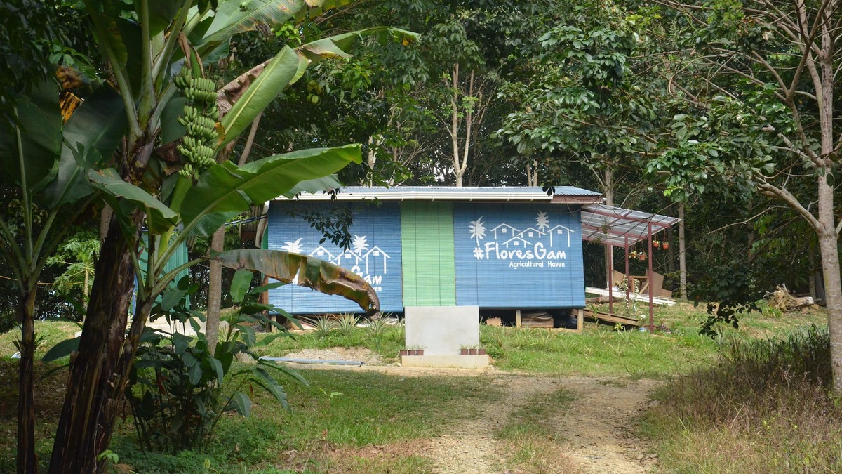 Kawasan Melalap House | FloresGam Agricultural Haven
