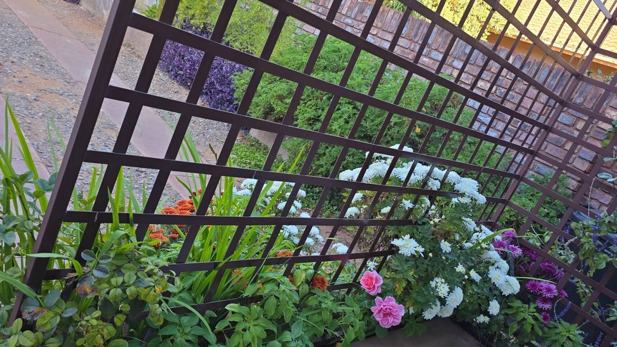 Kathu House | Flower Lane Guesthouse
