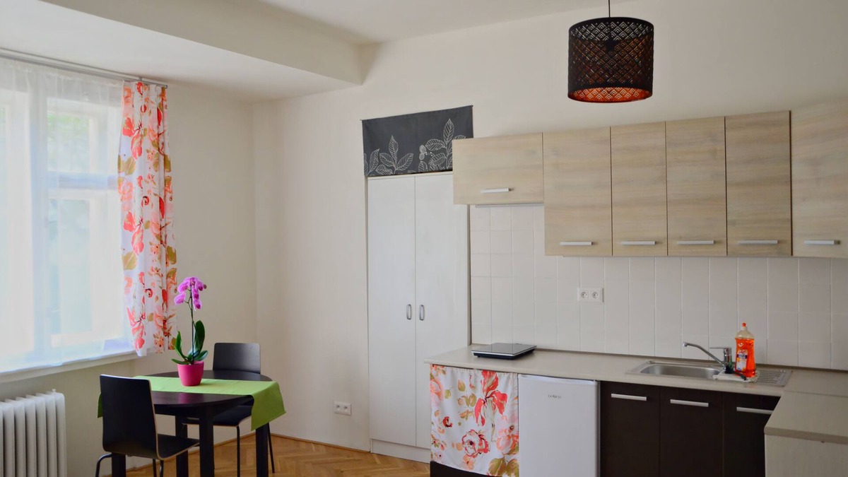 Nusle Apartment | Flower - modern apartment in the center of Prague (Nusle) with art exhibition
