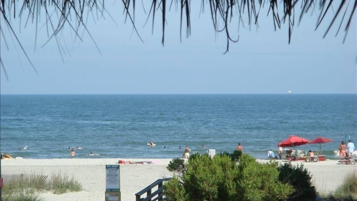 Folly Beach Condo | Folly Beach Condo with Beautiful Oceanview! Walk to Downtown!