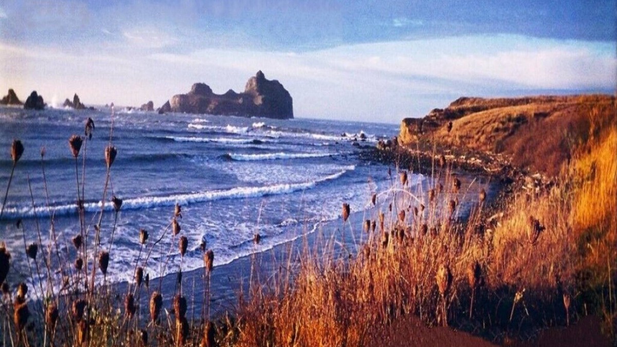 Crescent City North House | Footsteps to Pebble Beach & Short Drive to Redwoods