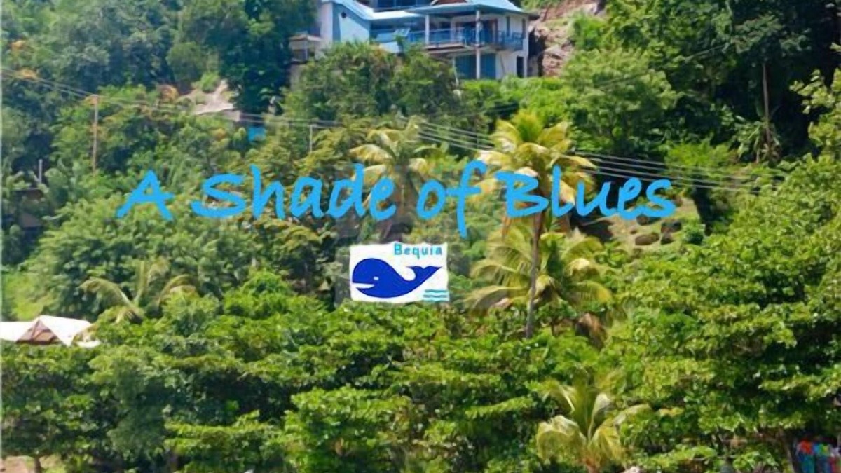 Princess Margaret Bay Apartment | For people who love to be at Princess Margaret Beach