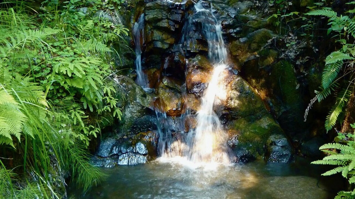 Carmel Cottage | Forest Cottage in Big Sur w/Private Hiking & Hot Tub