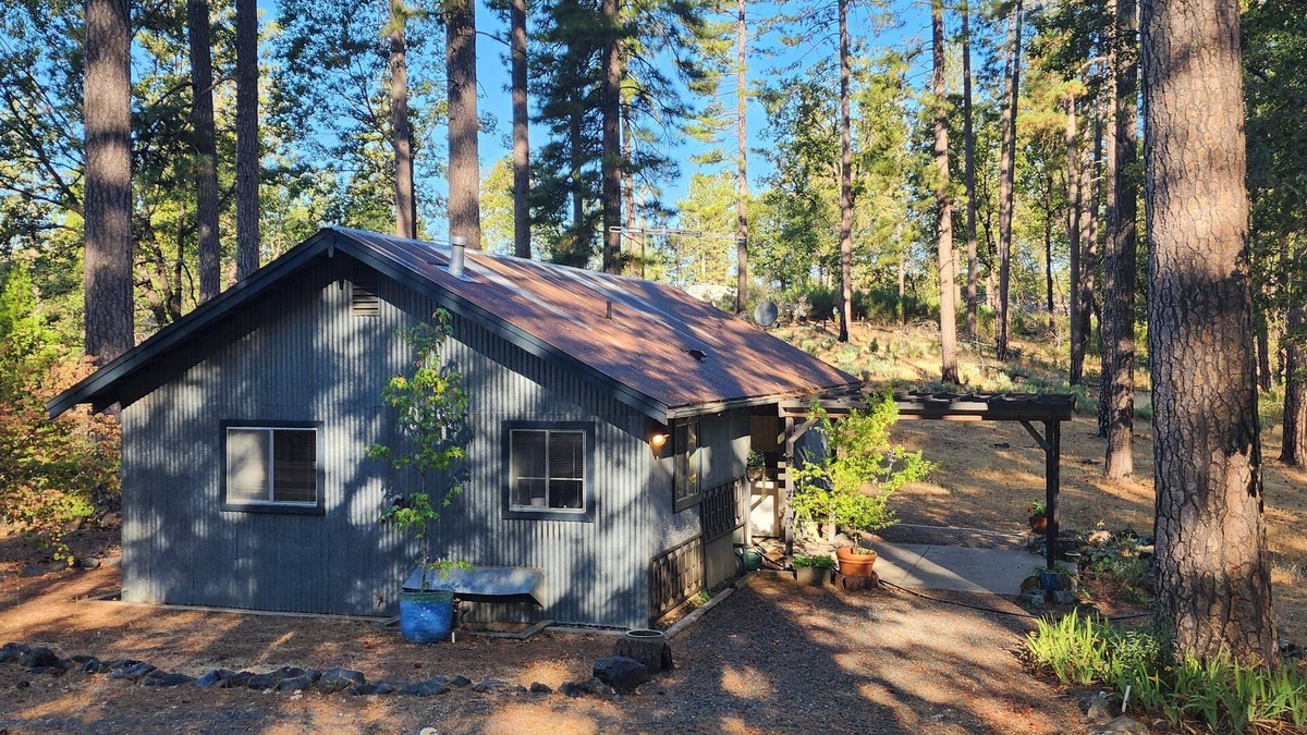 Grass Valley Cabin | Forest Cottage Retreat