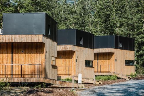 Grandham House | Forest Cube
