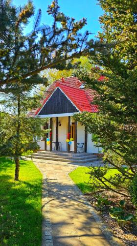 Debnica Kaszubska House | Forest House Podwilczyn with sauna & fireplace