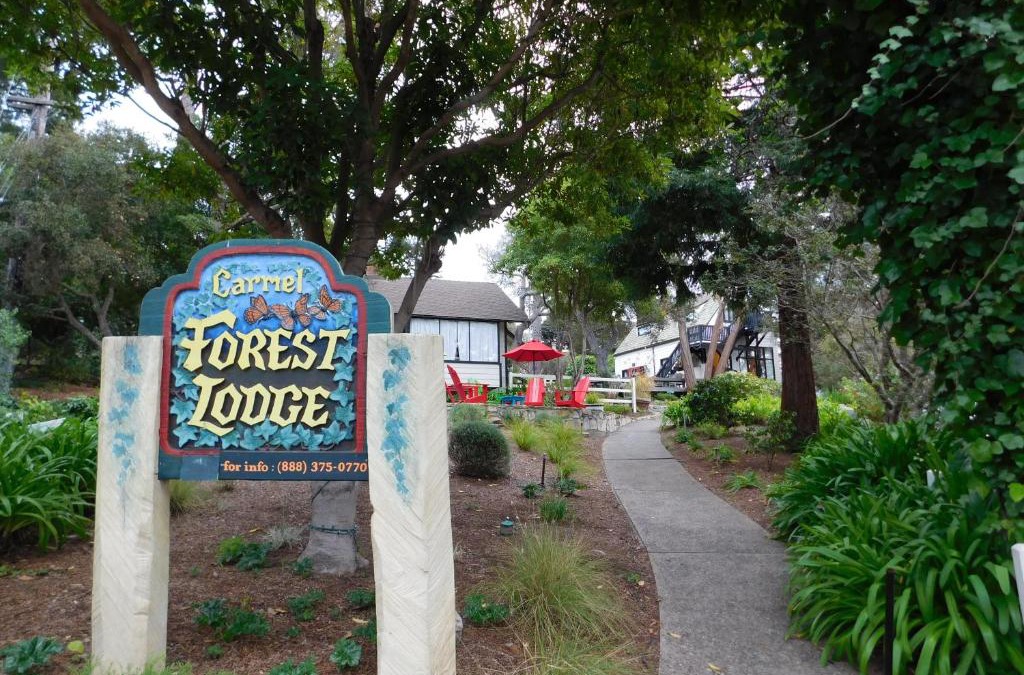 Southeast Carmel Cabin | Forest Lodge