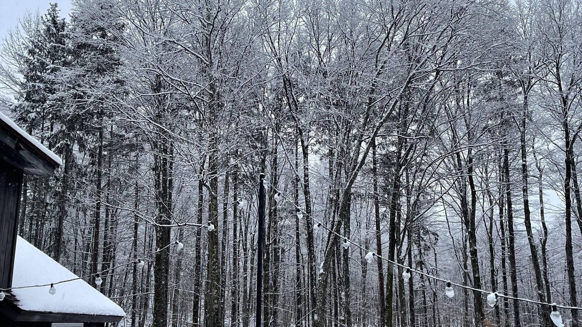 East Haven  Rutland County House | Forest Mountain Escape: Beautiful Mountaintop Escape In Mendon, Vt. 20 Min To Killington/14 To Pico. 4 Bedroom Home