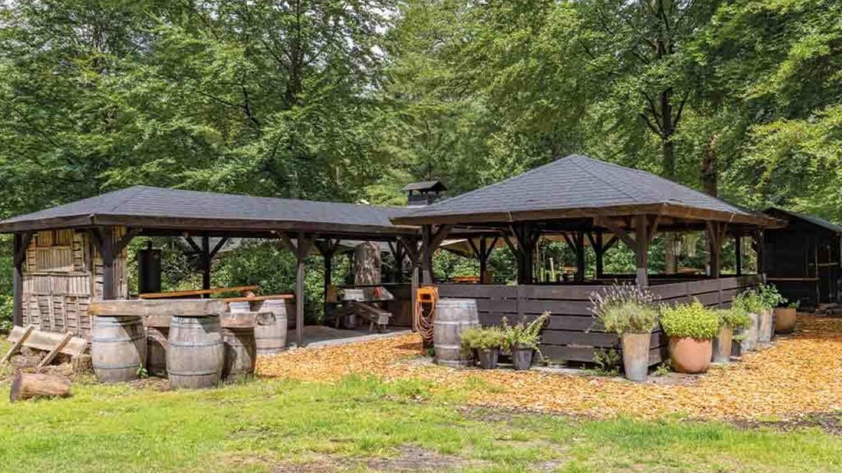 Wolfheze Hotel | Forest-Side Room – Nestled Among Trees with Easy Access to Trails & Wellness