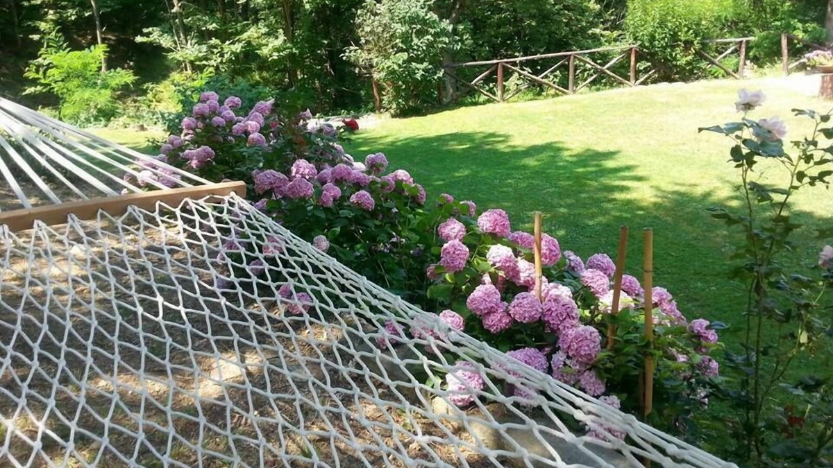 Gavi Bed & Breakfast | Forest View B&B
