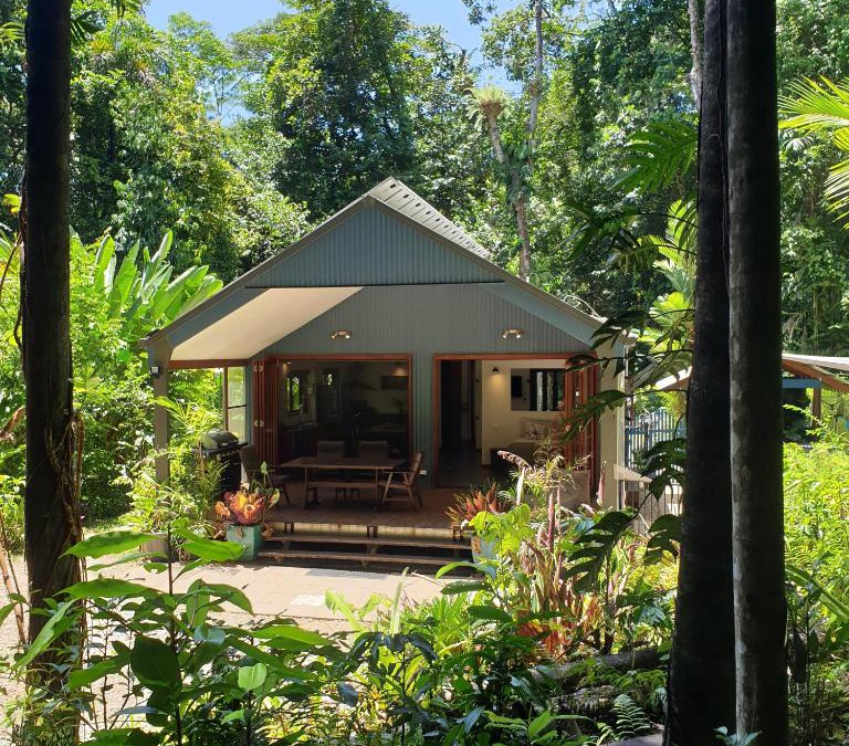 Diwan House | Forest views