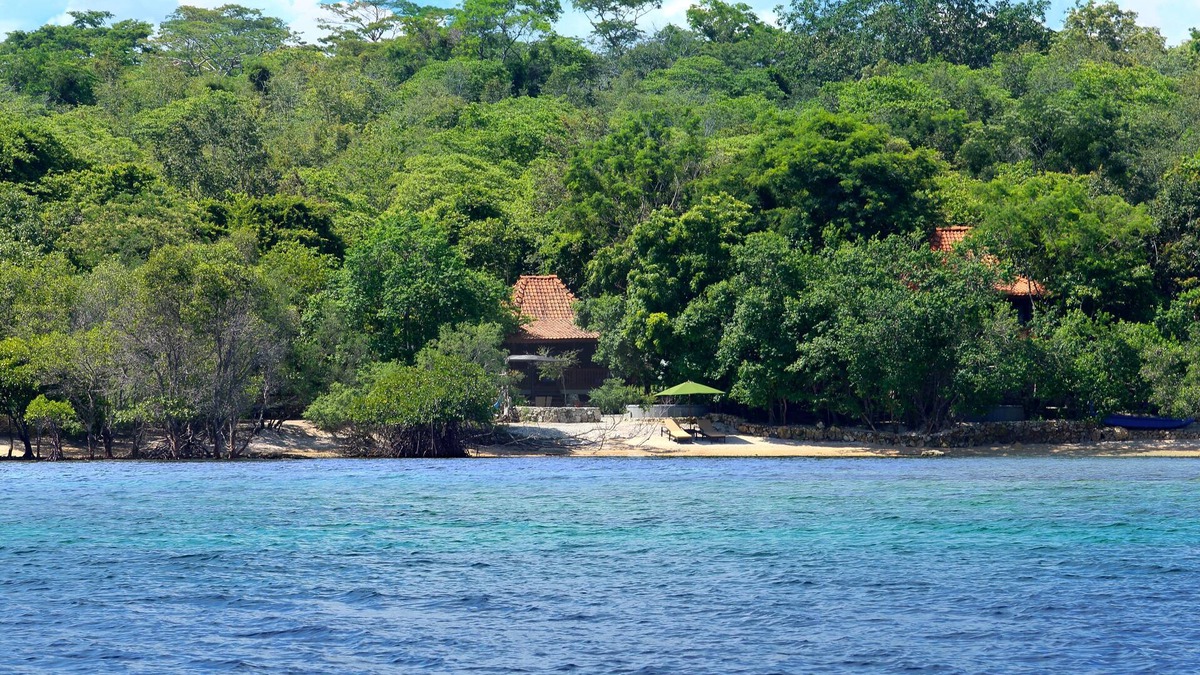 Pejarakan Villa | Forest Villa @ West Bali National Park
