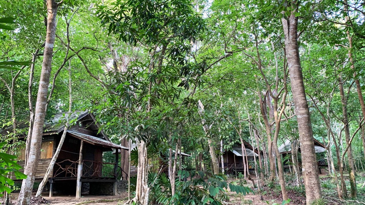 Nuea Khlong House | Foresta Cottage of Koh Pu no6195