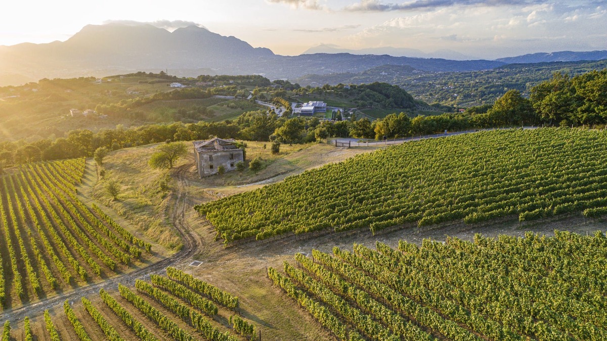 Sorbo Serpico House | Foresteria Relais/Country House surrounded by vineyards