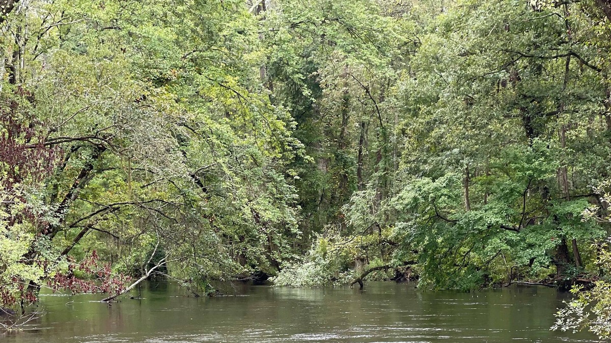 Orangeburg County House | Forget your worries in our serene River front 5 bedroom house.