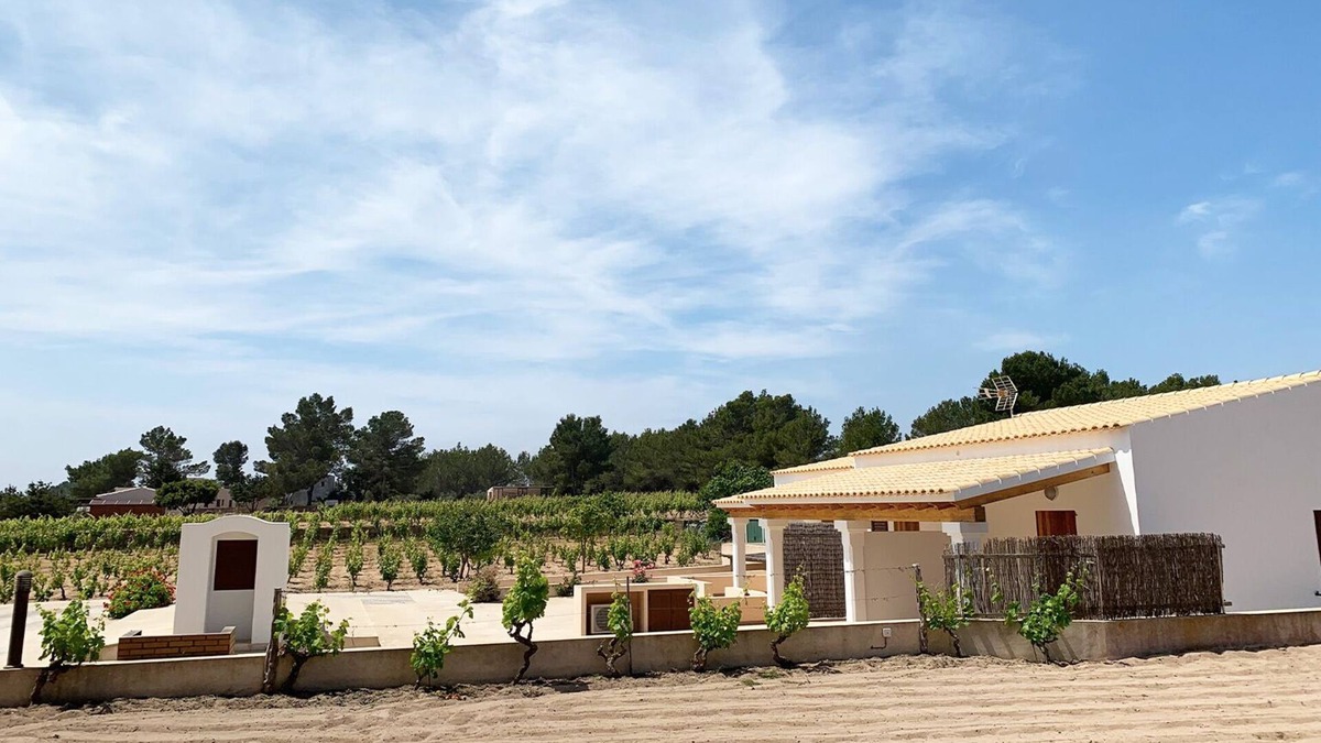 Sant Francesc Xavier Apartment | Formenteranatural. Rural apartment 2 km from Sant Francesc.