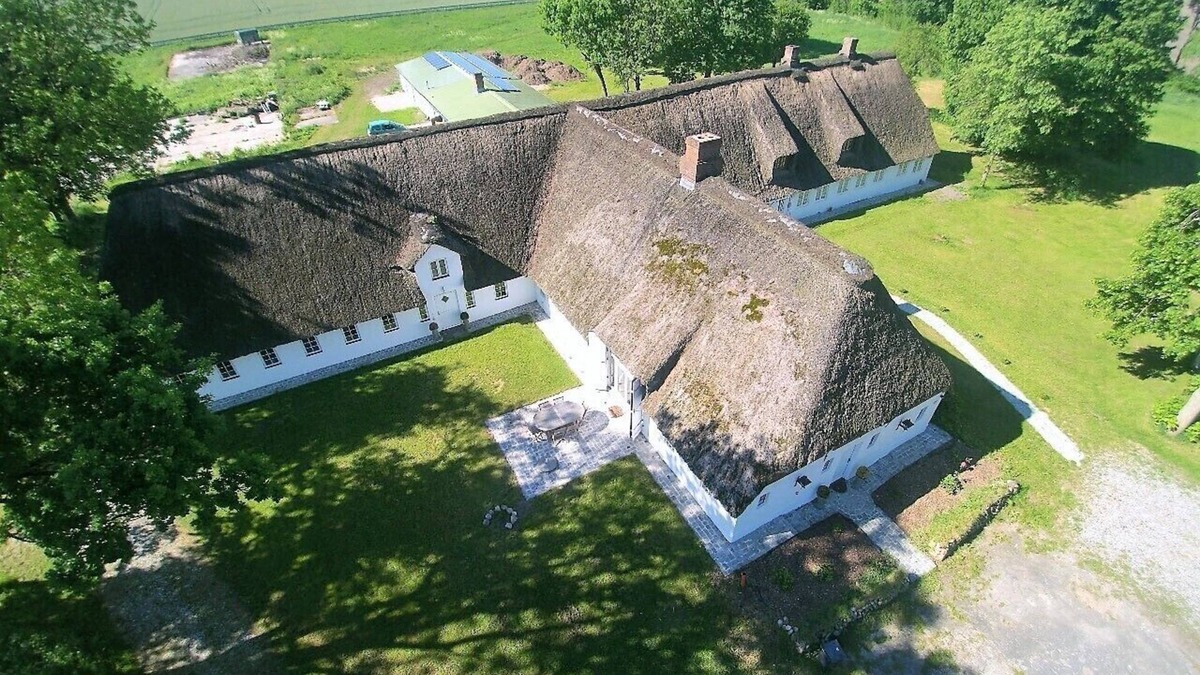 Stadum House | former Rio Reiser house, sauna, dogs welcome, terrace, large property