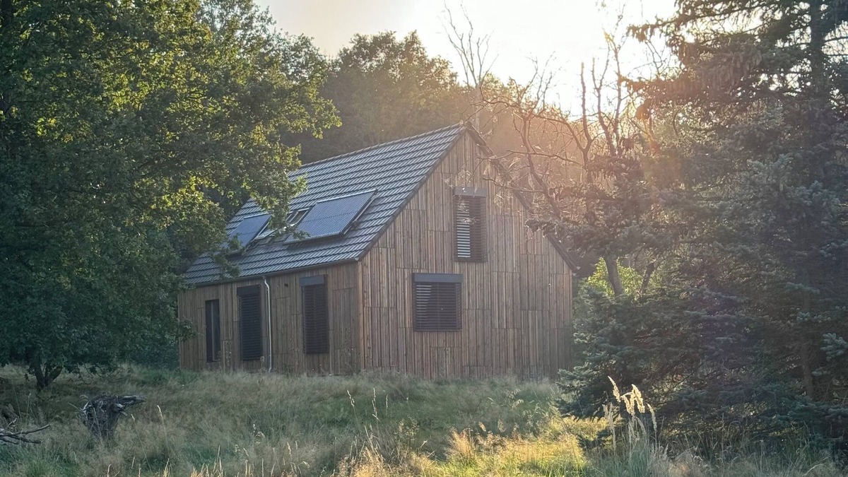 Oybin House | Foundation