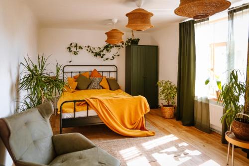 Tukums Apartment | Four Seasons Apartments