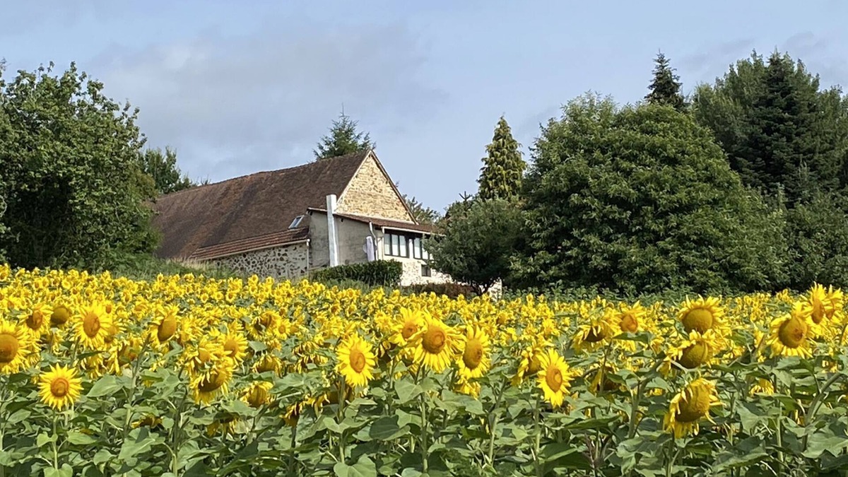 La Coquille House | Four-star tranquil retreat - perfect for a driving holiday in the Perigord Vert