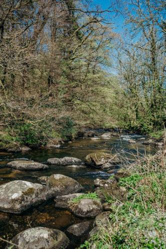 Dartmeet Apartment | Fox Tor Apartment