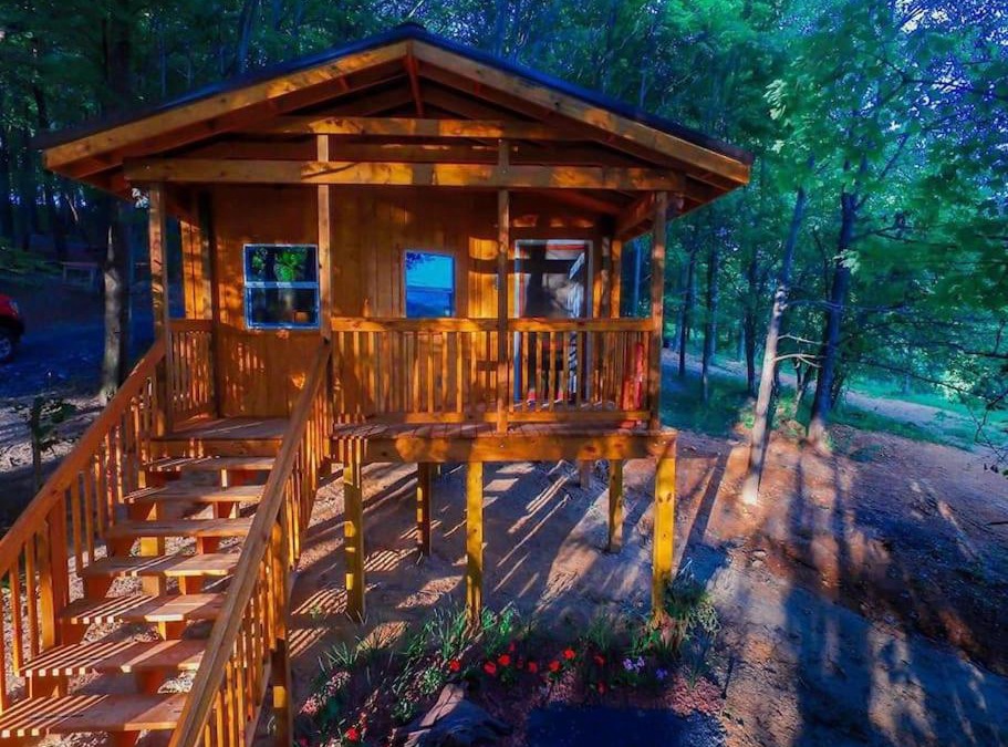 Southern House | Foxtail Orchards - The Fox Den