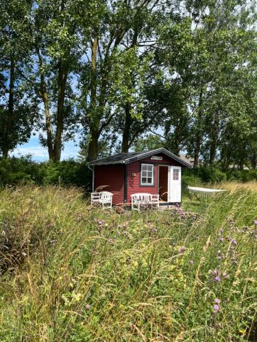 Frolunde Other | Frølundegaard B&B