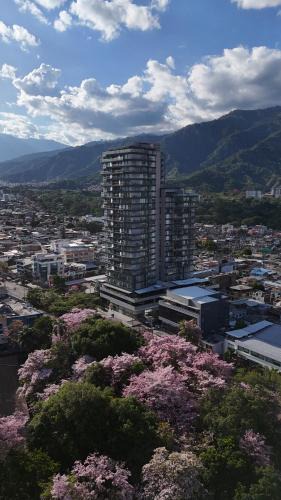 Ibague Hotel | FR Hotel