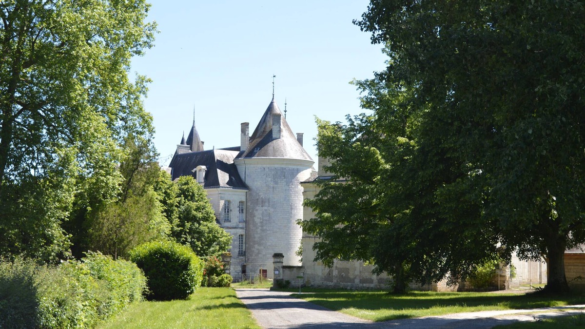 La Chapelle-Blanche-Saint-Martin House | Profitez de la Touraine Dans un Cadre Dexception