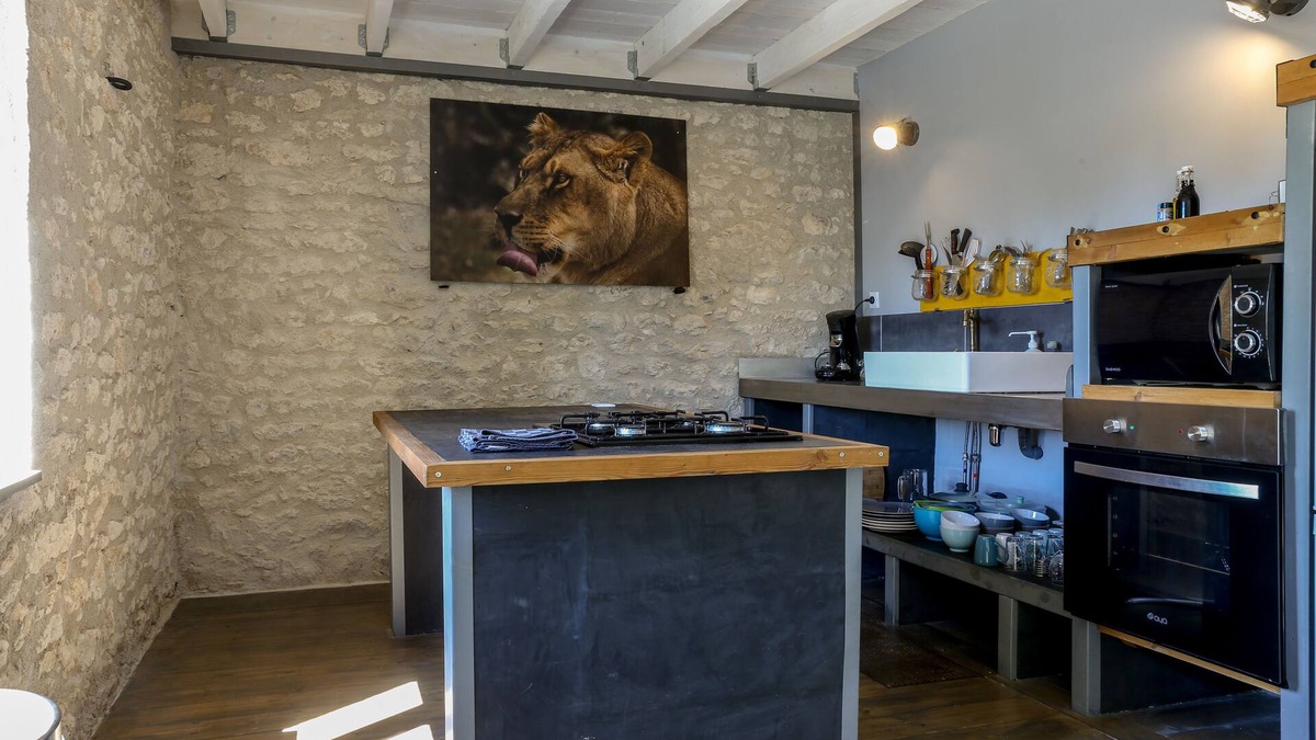 La Chapelle-Saint-Martin-en-Plaine House | The workshop