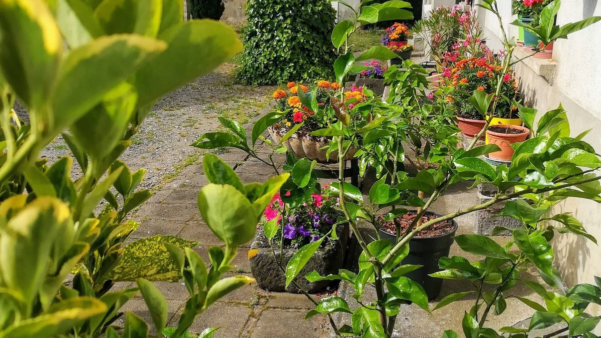 Saint-Georges-de-Mons House | La Maison D'odette 2-star Furnished Accommodation Auvergne/Puy de Dôme.