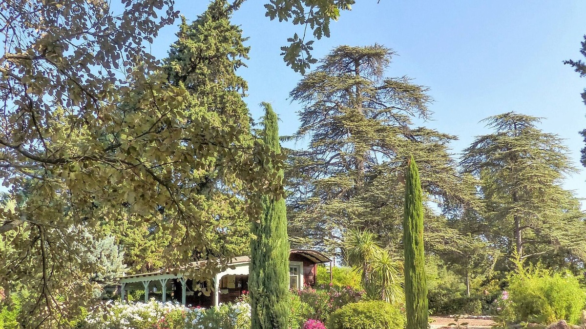 Saint-Maximin-la-Sainte-Baume House | Domaine de Conillières - Lodge Bois de Cèdre