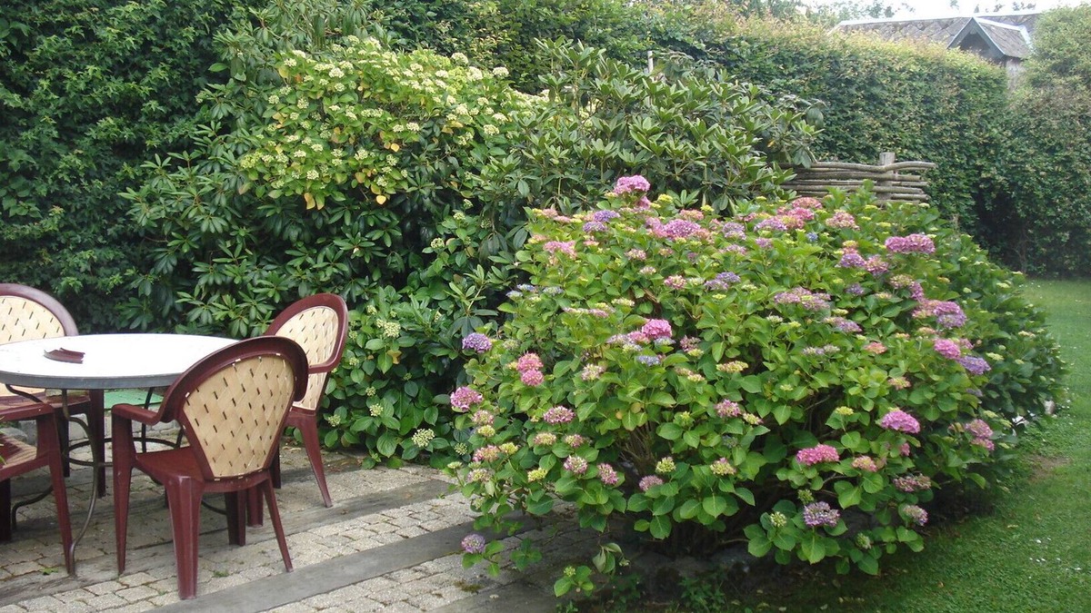 Saint-Sylvestre-de-Cormeilles Bed & Breakfast | Maya, independent guest studio with kitchenette