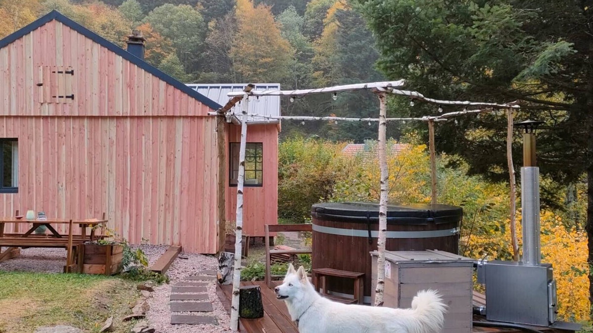 Sainte-Marie-aux-Mines Ski Chalet | Chalet 'La Cigale Et Son Bain Nordique' with Wi-Fi