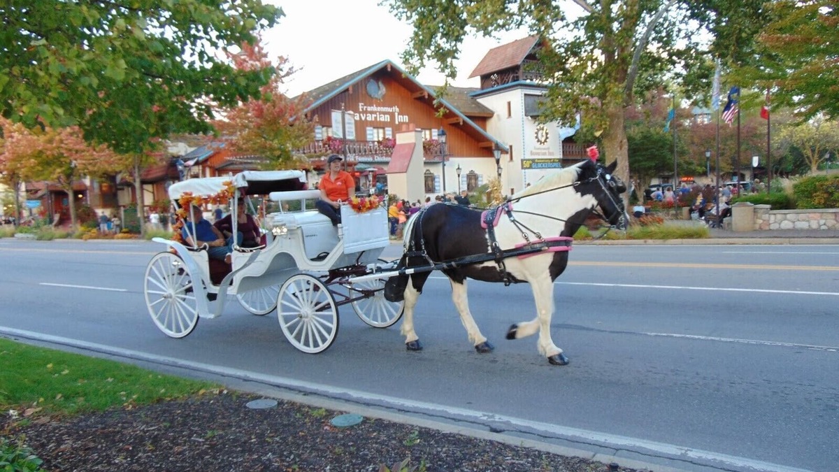 Birch Run Township House | Frankenmuth Getaway