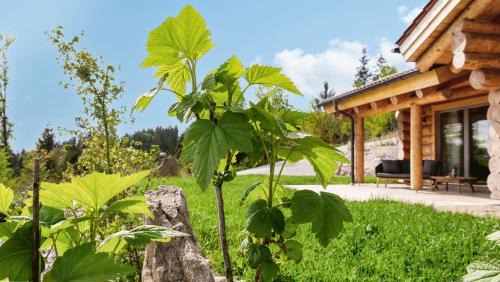 Wildenranna Ski Chalet | Franz Josefs Chalets