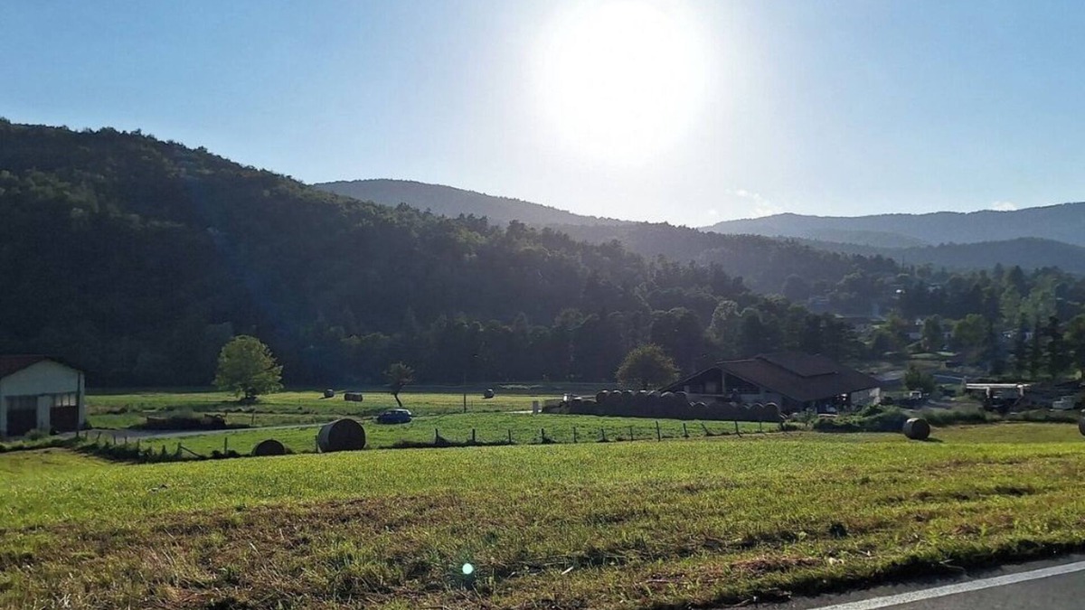 Bardineto Other | Fratelli Oddone Farmhouse: Edelweiss